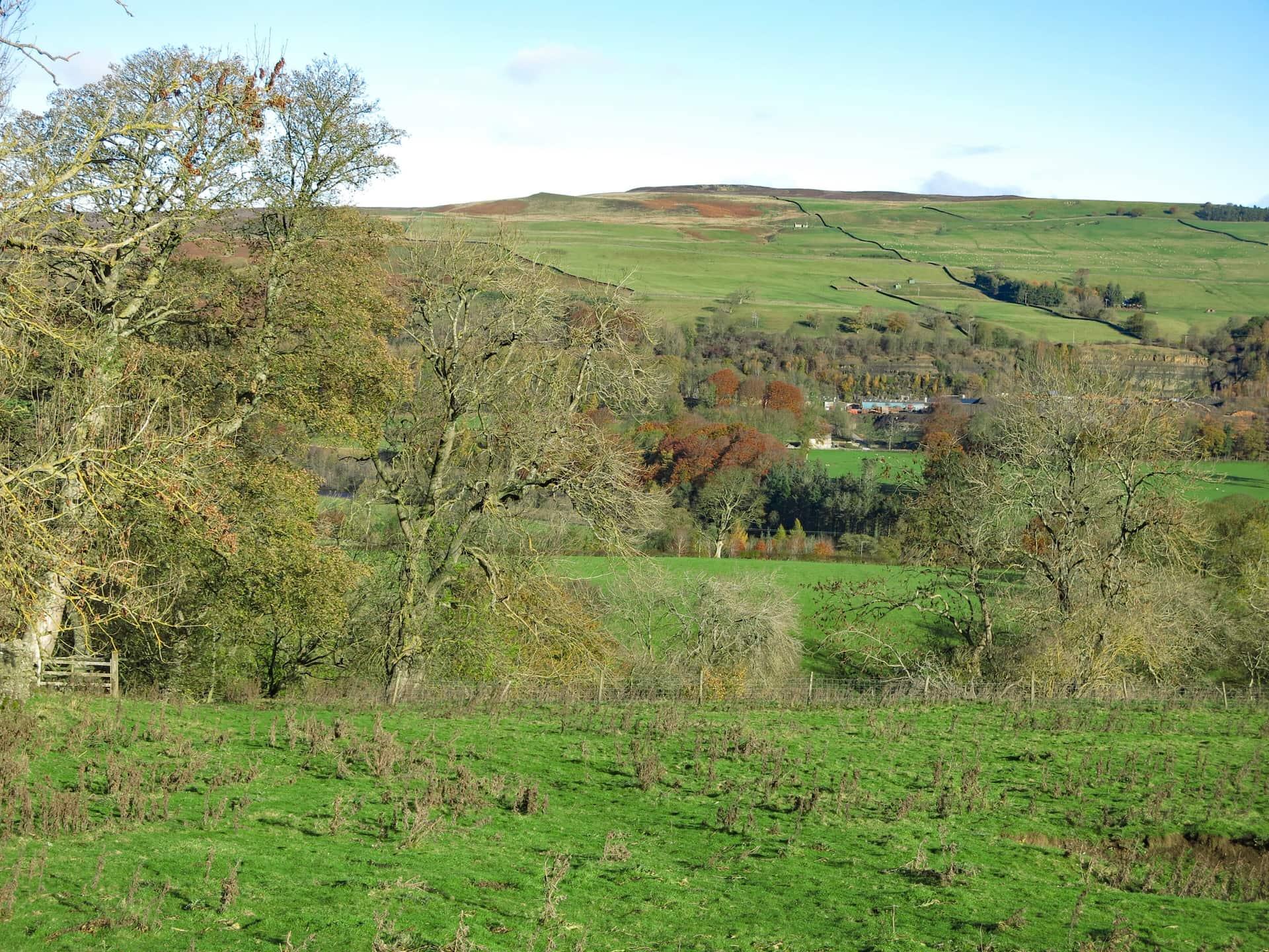 Weardale near Stanhope
